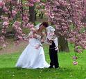 Wedding party av rentals